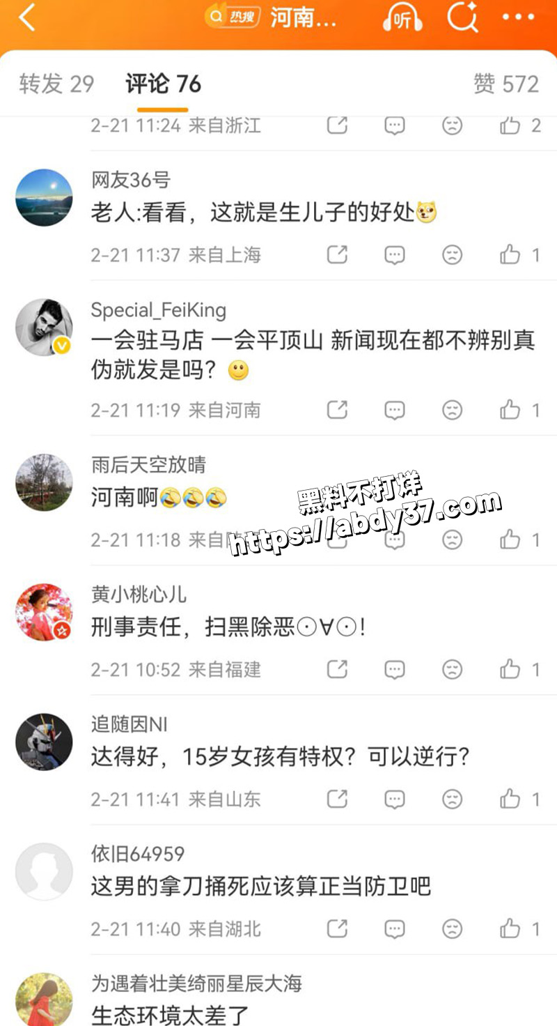 河南平顶山.jpg13