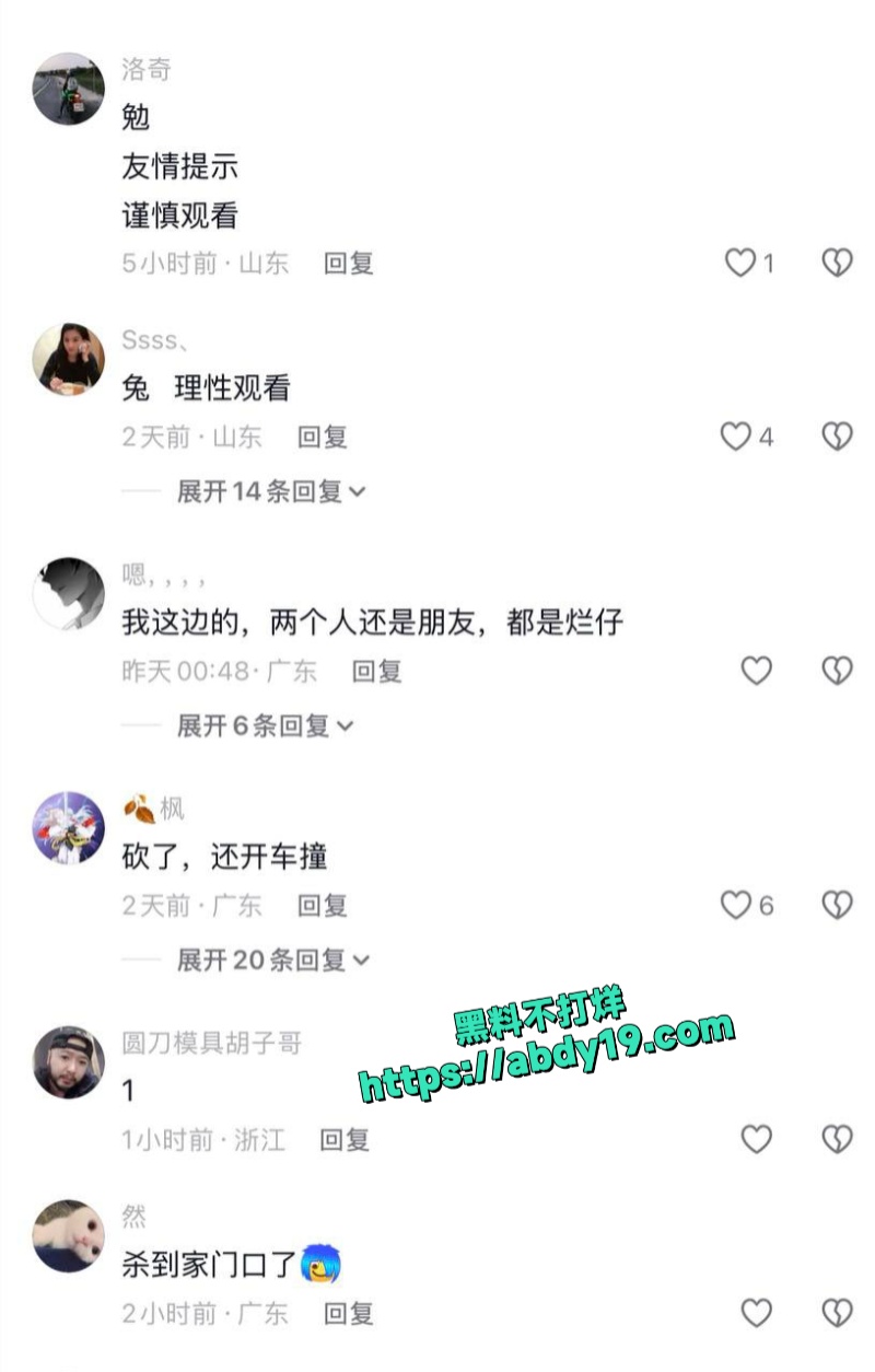 寿光金光街大桥持刀火拼事件 5