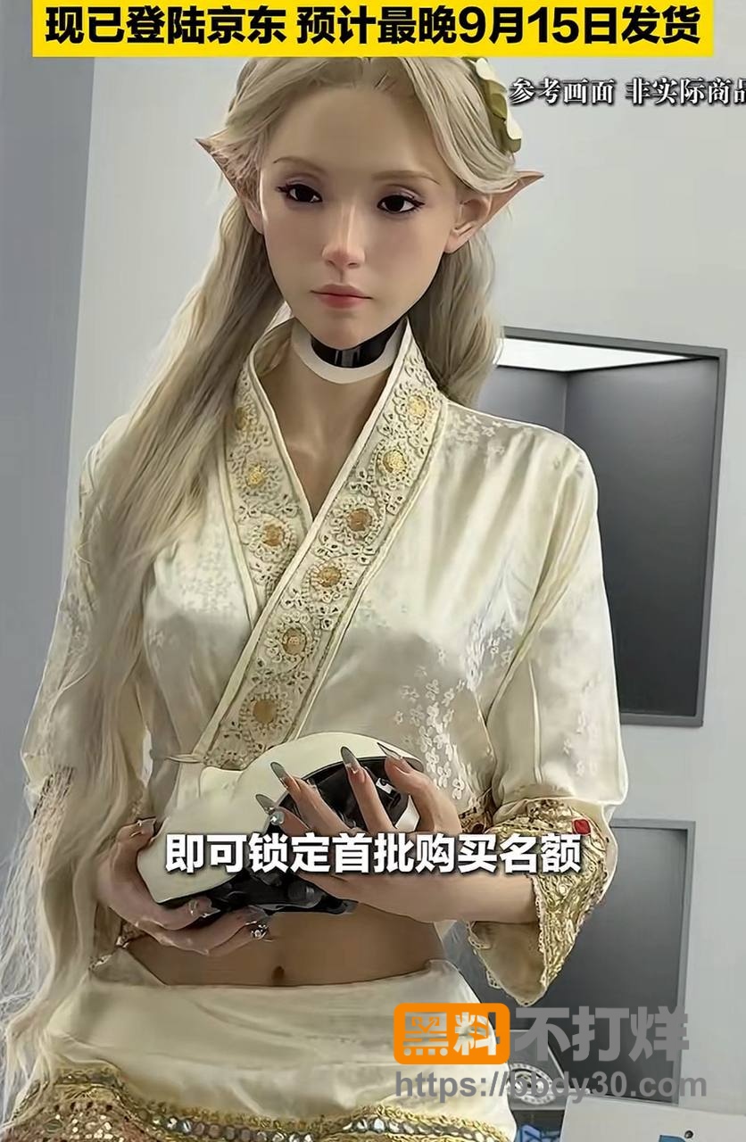 仿生机器人4