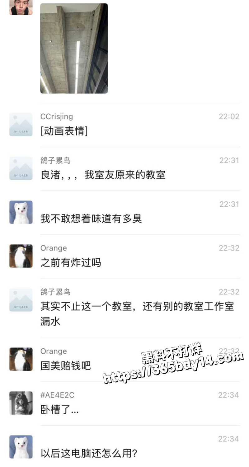 国美淋屎4