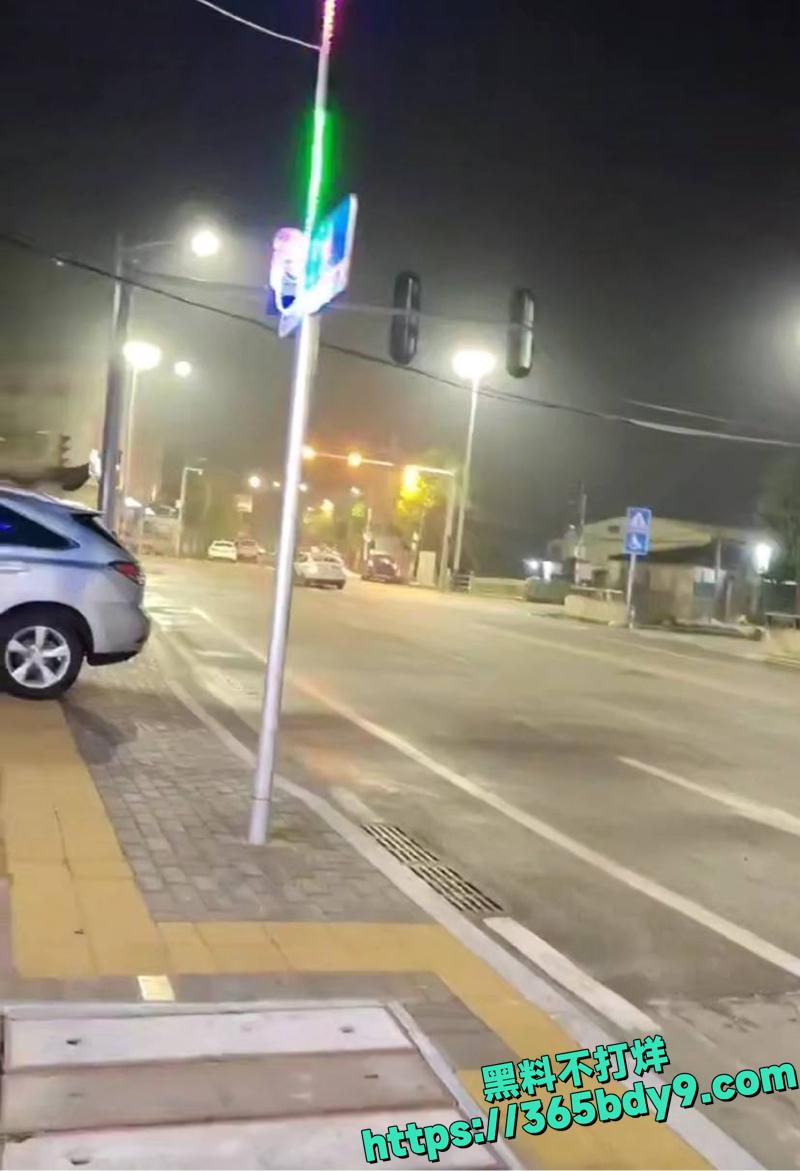 汕头澄海重大刑事案件震撼曝光4