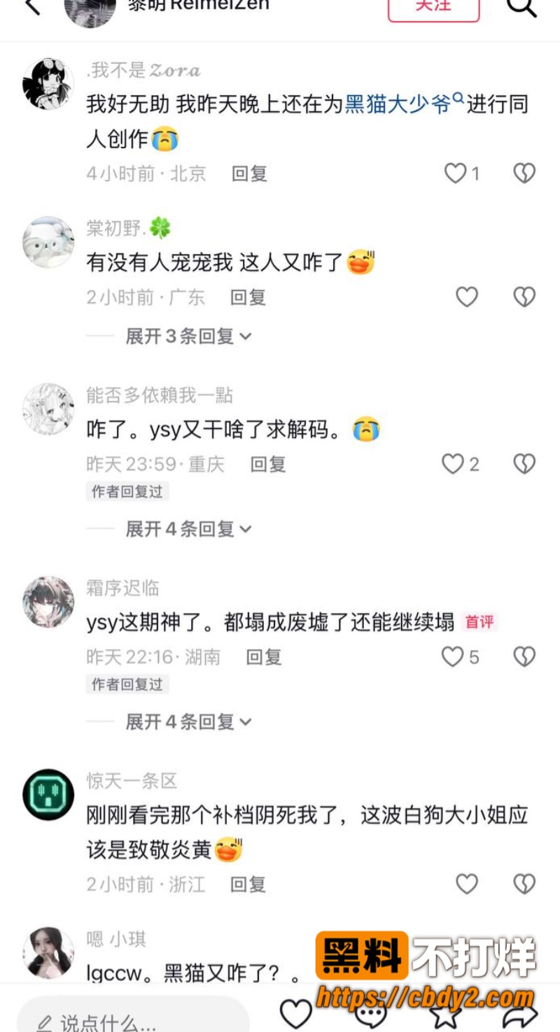 黑猫大少爷21