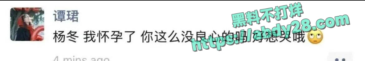 4000点分析师谭珺爆料怀了广发基金杨冬孩子 10