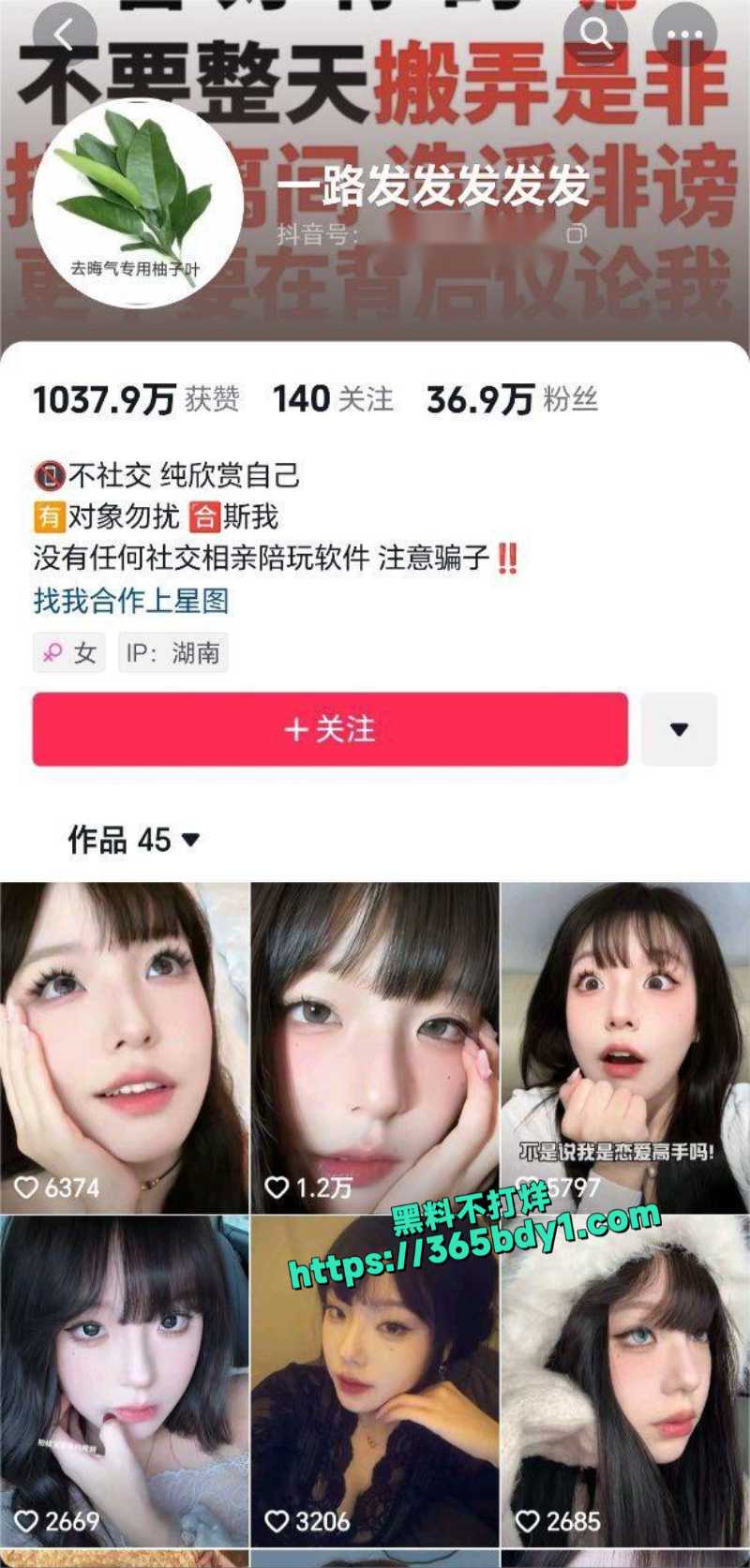 抖音网红一路发发发发发