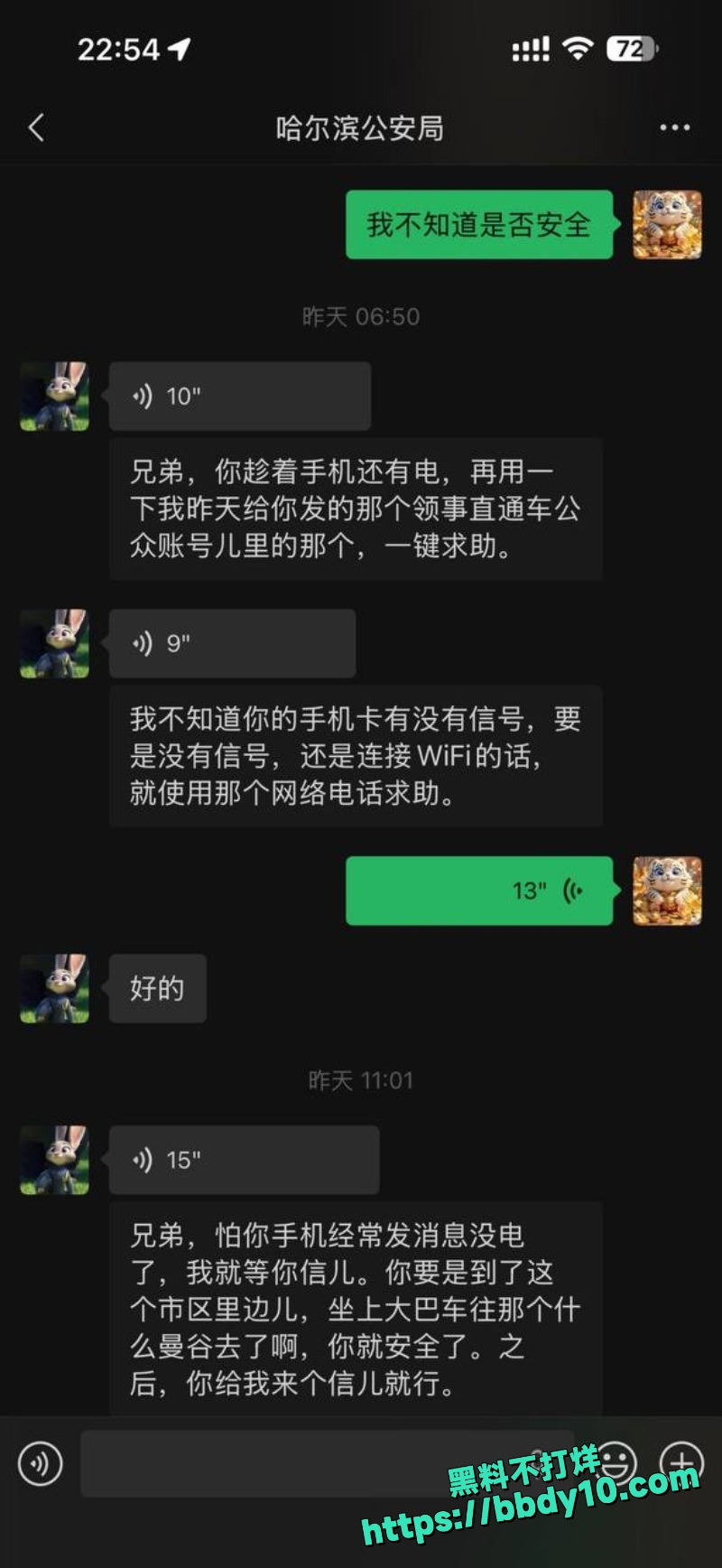 杨磊 33