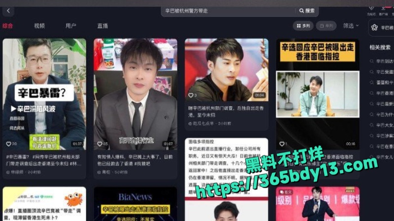 知名电商主播辛巴8