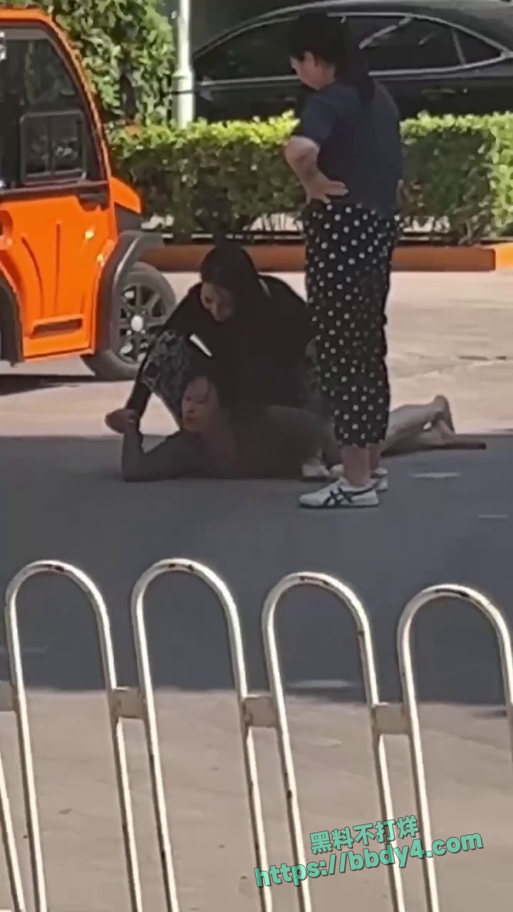 愤怒正妻当街暴打小三08