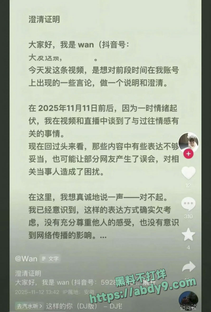 抖音WAN姐A 12