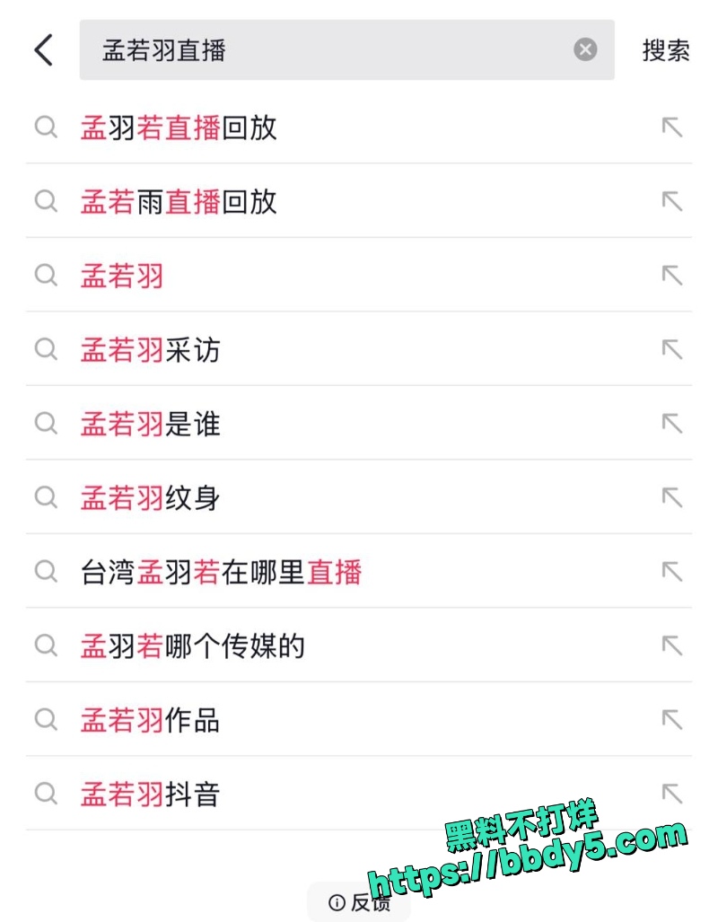 孟若羽 21