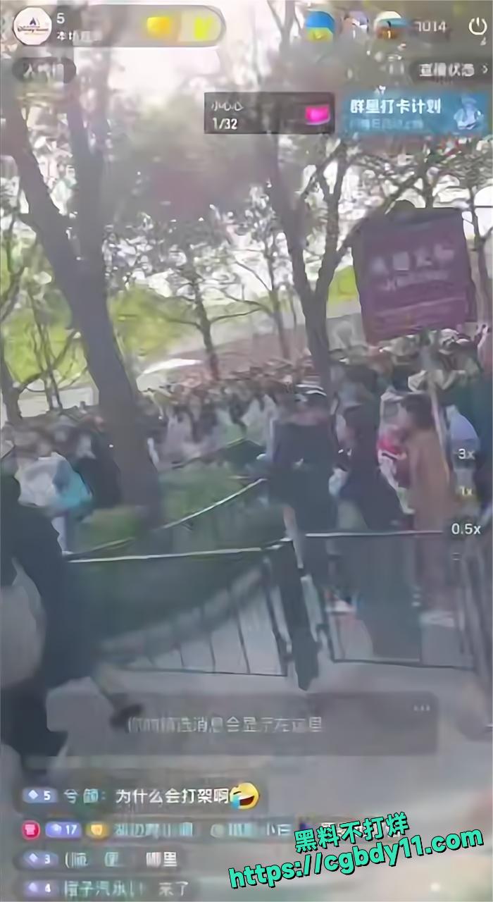 上海迪士尼黄牛2