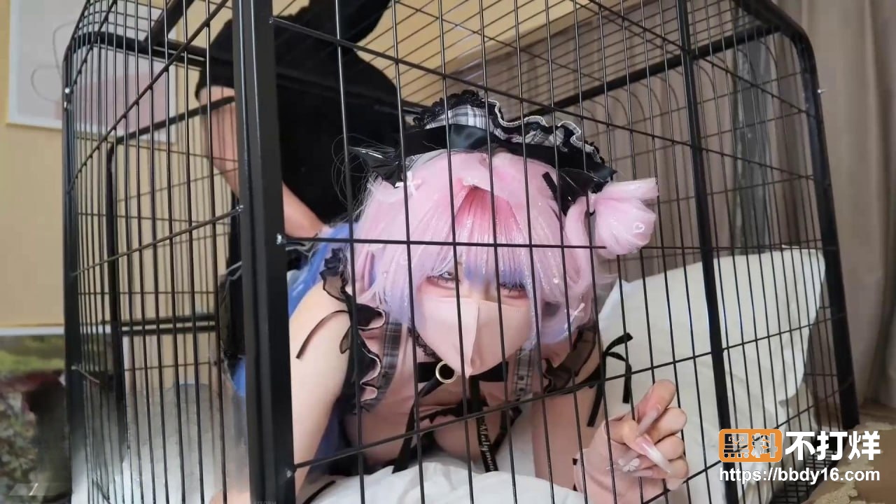 顶级反差猫奴 星野兔2