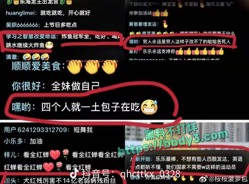 跳水冠军全红婵遭网暴 14