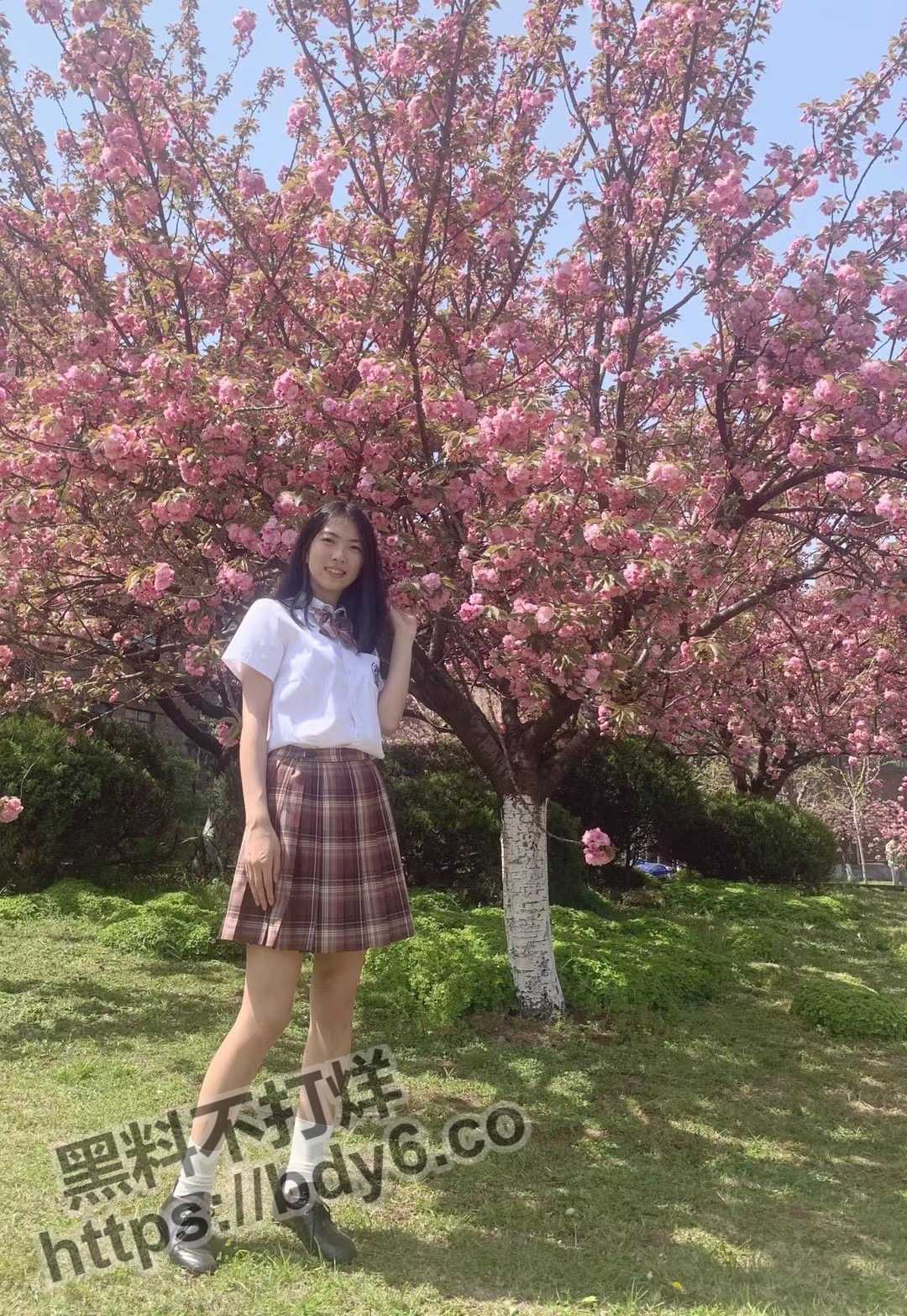 美照_3.jpg