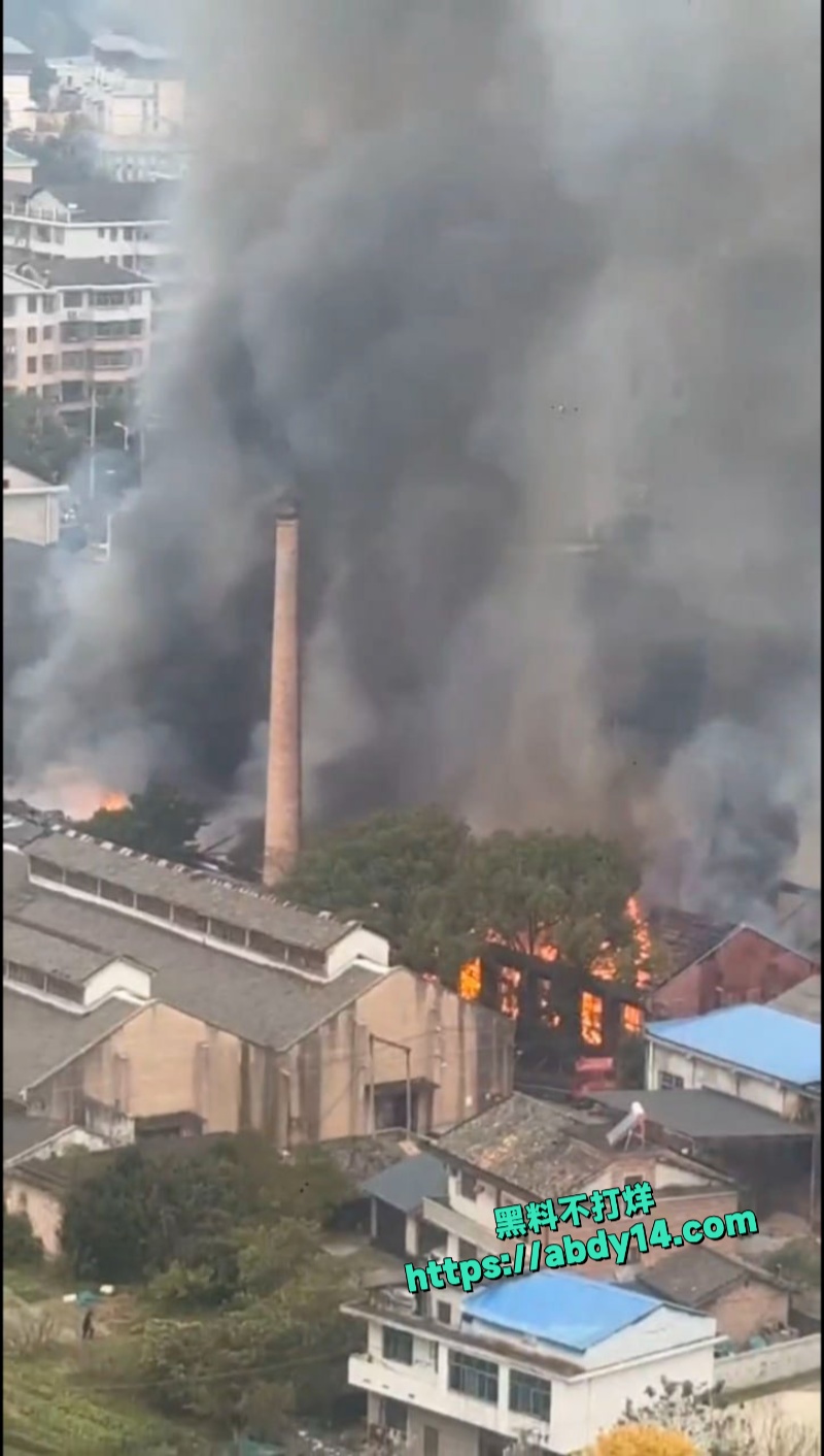 湖南株洲炎陵县工业园突发大火 4