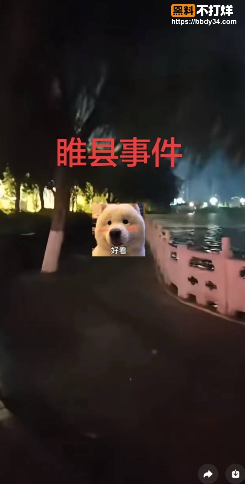 睢县北湖公园深夜情侣后入视频4