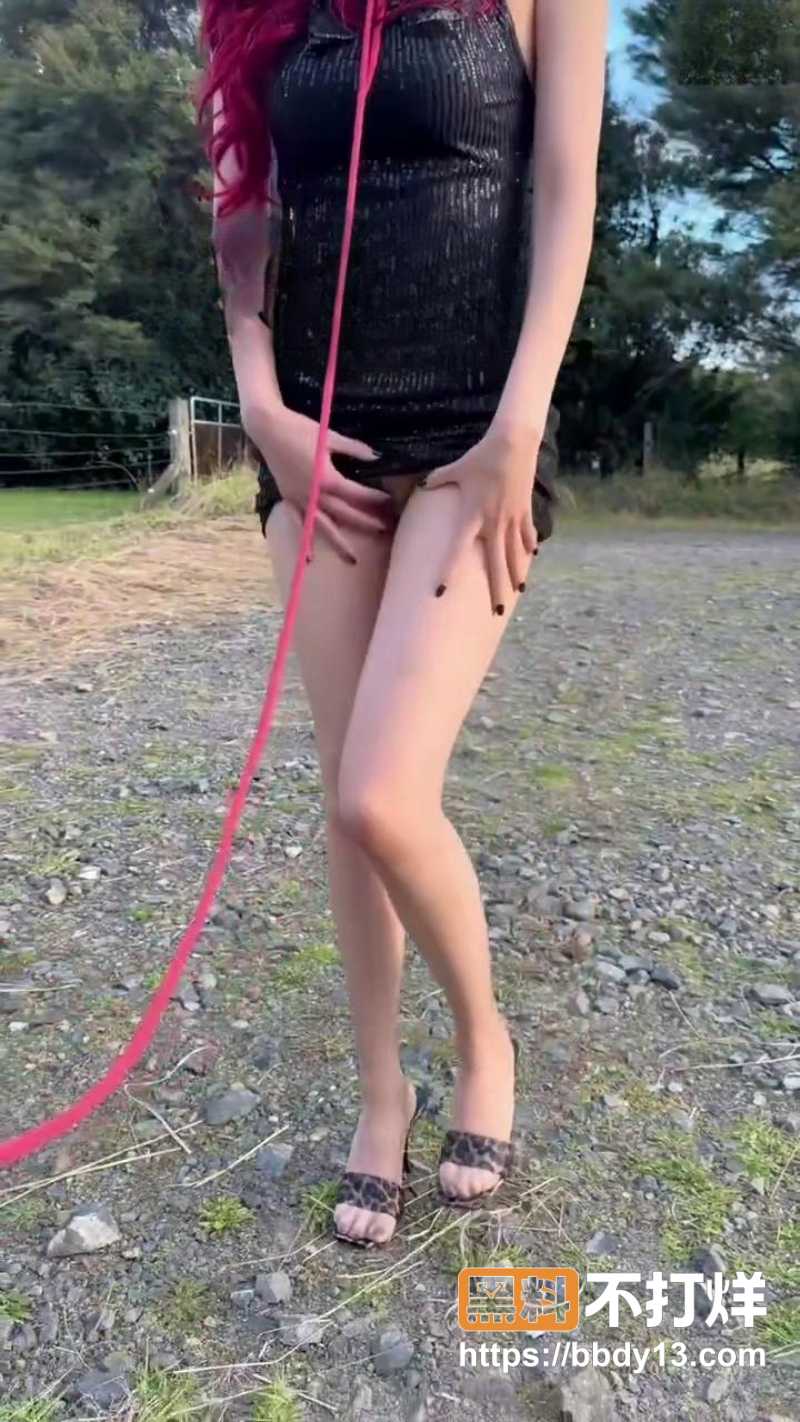 猫猫碎冰冰 12