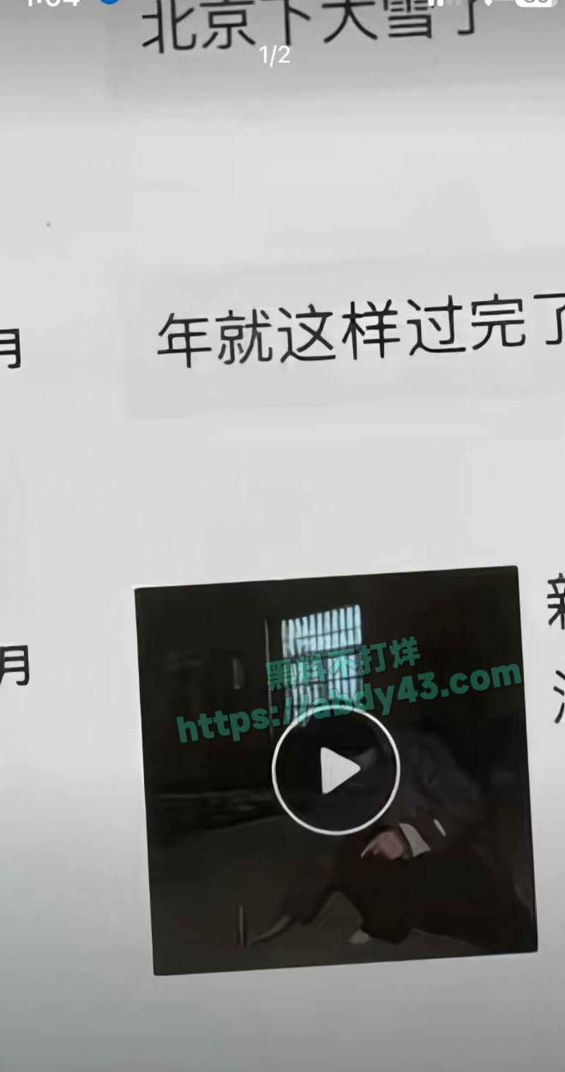 奶爸网红月野兔小樱5