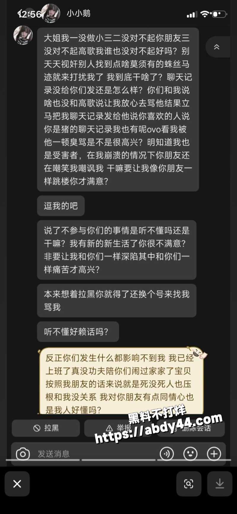 黑龙江痴情女子 被渣男甩12