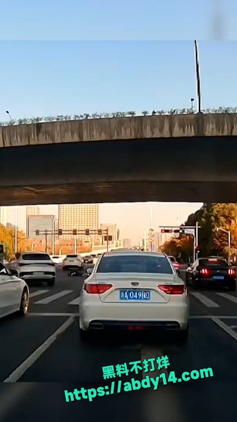 杭州母女吵架吃瓜 8