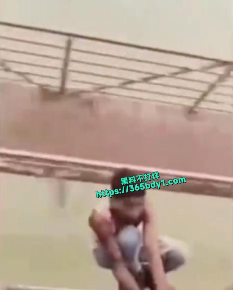 小偷在行驶中的火车上偷手机后跳下去的视频走红6