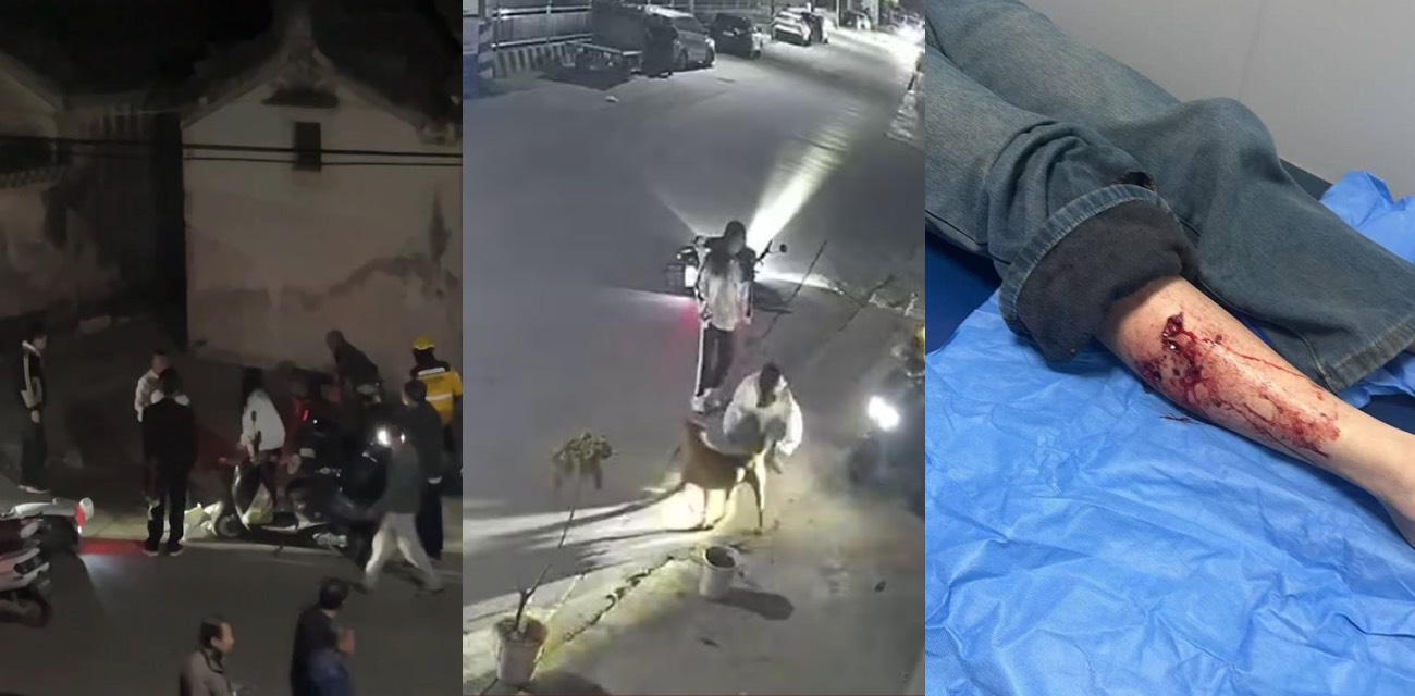 路过姐妹被未拴绳疯狗疯狂追咬 腿血肉模糊 外卖小哥制止众人合力打死狗