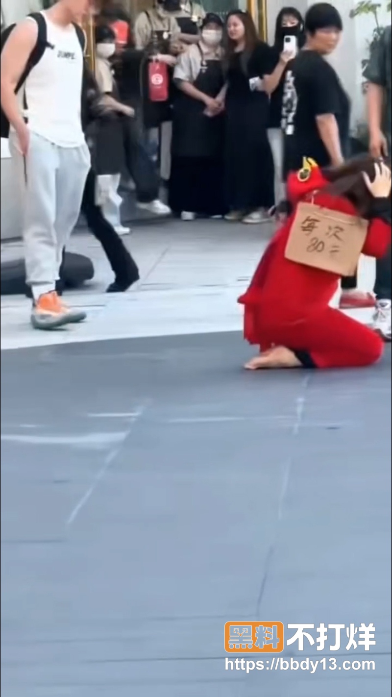 主人的任务   4