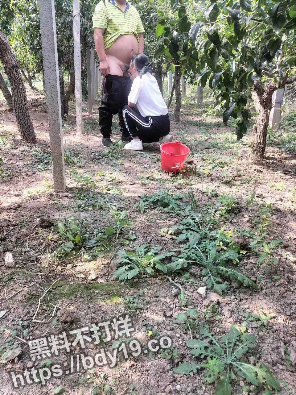 山东省卖冬枣女老板李淑红.jpg