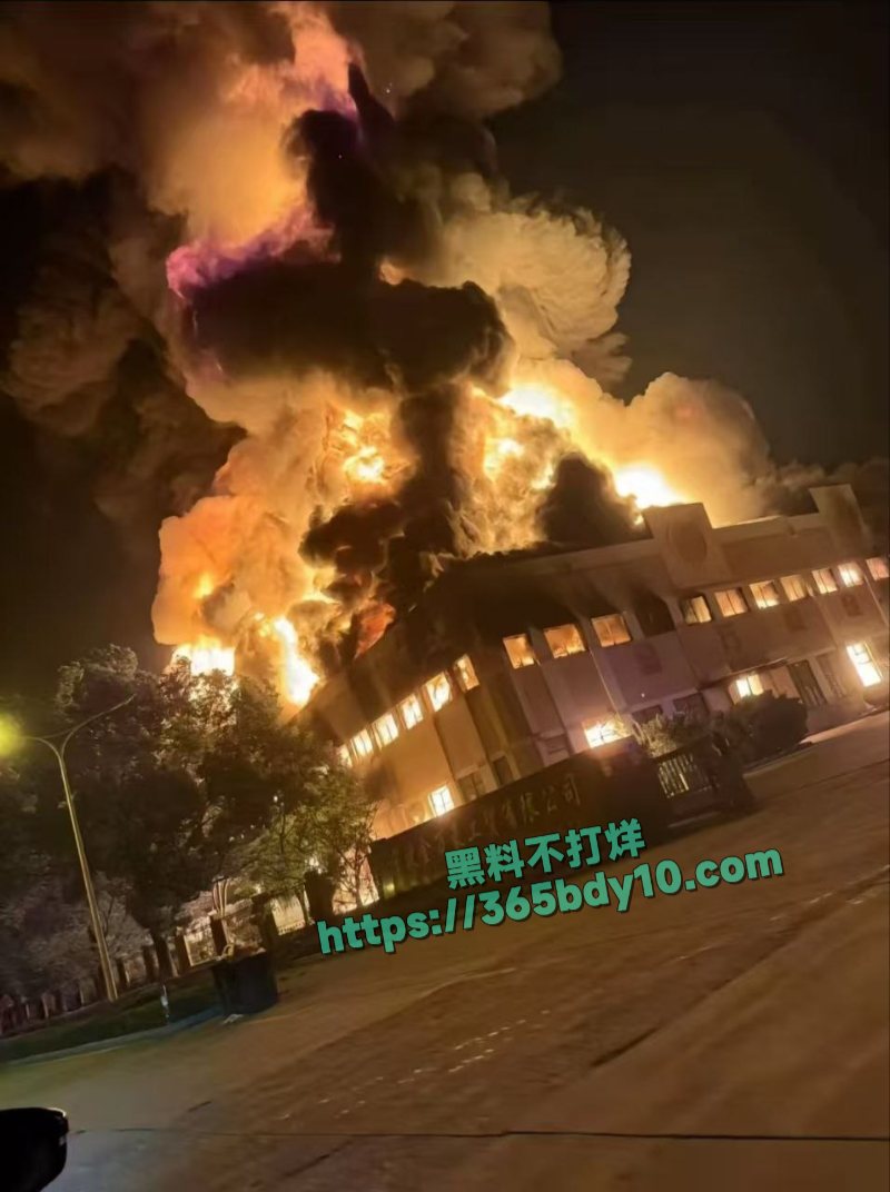 宁波五乡一厂突发火灾6
