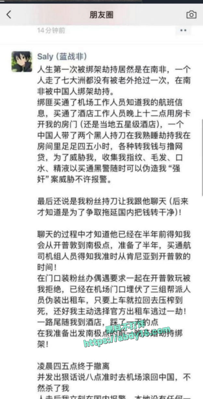 蓝战非南非被绑架 4