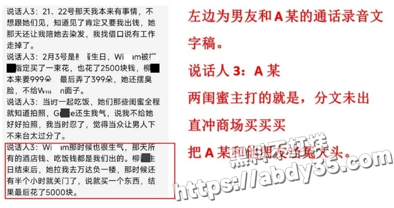 澳洲留学生陈某某脚踏两船捞金实录19