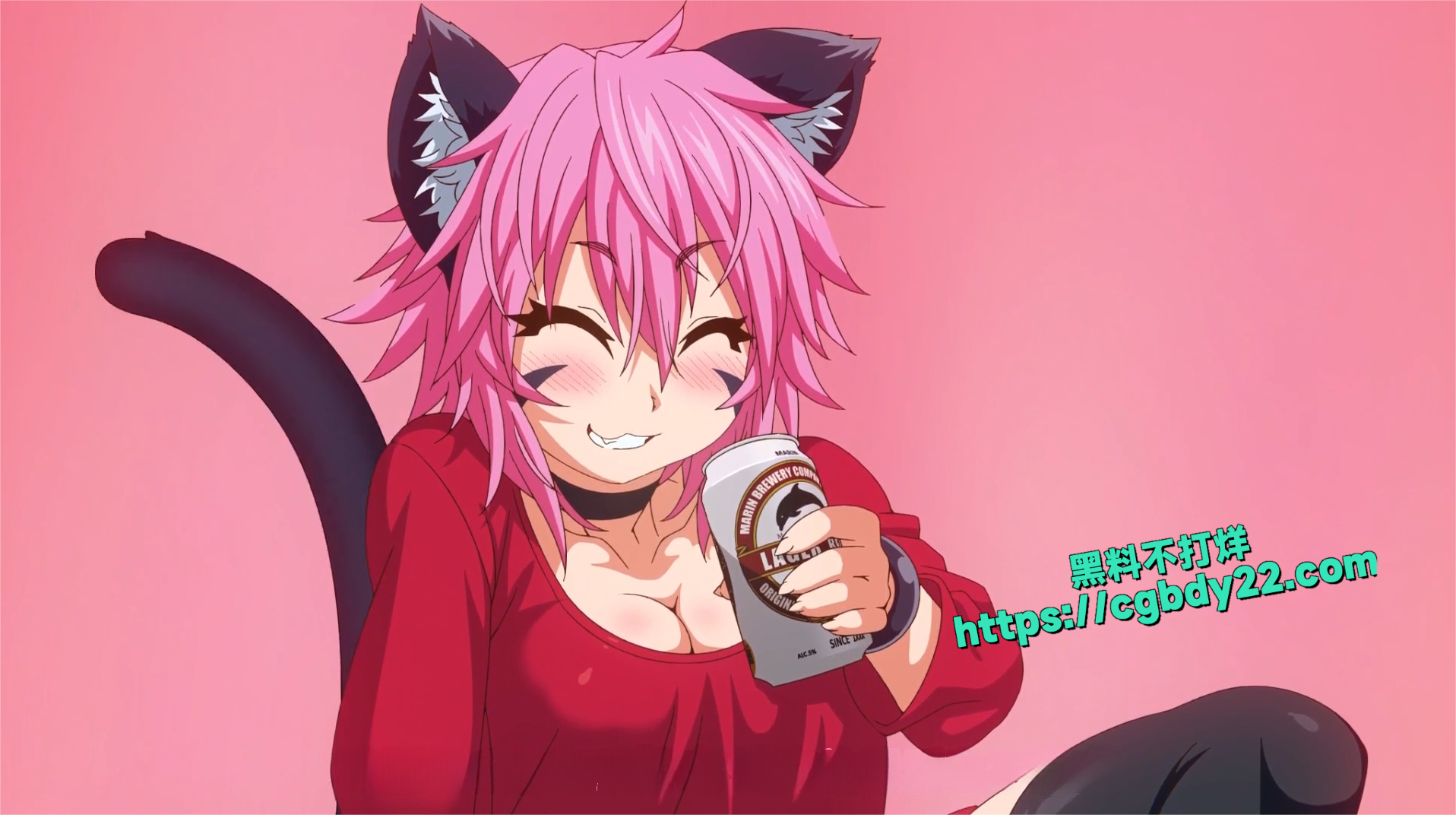 兽娘通信 ～猫娘妮雅4