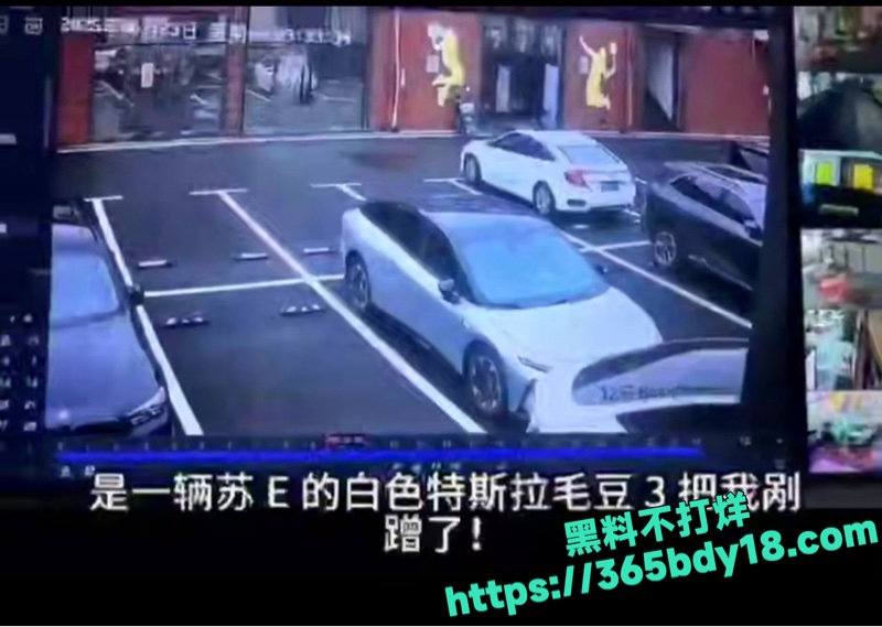 特斯拉大妈撞小鹏P7 4