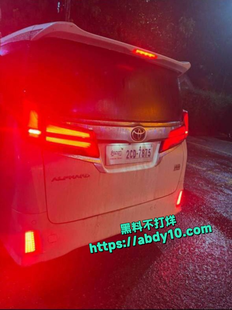 阮依豪狗腿子被抓 7