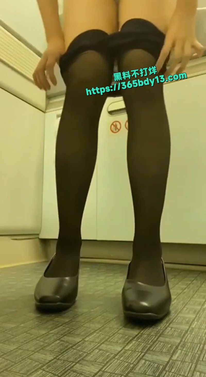 某航司空姐3