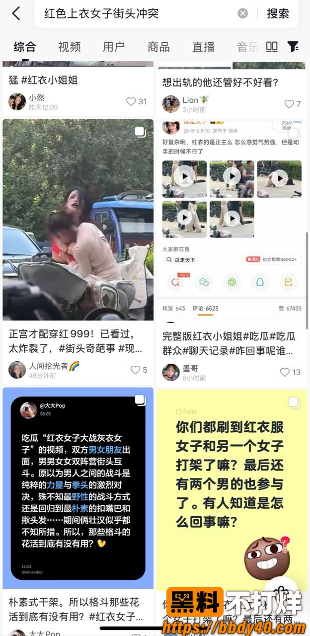 红色上衣女子打架 8