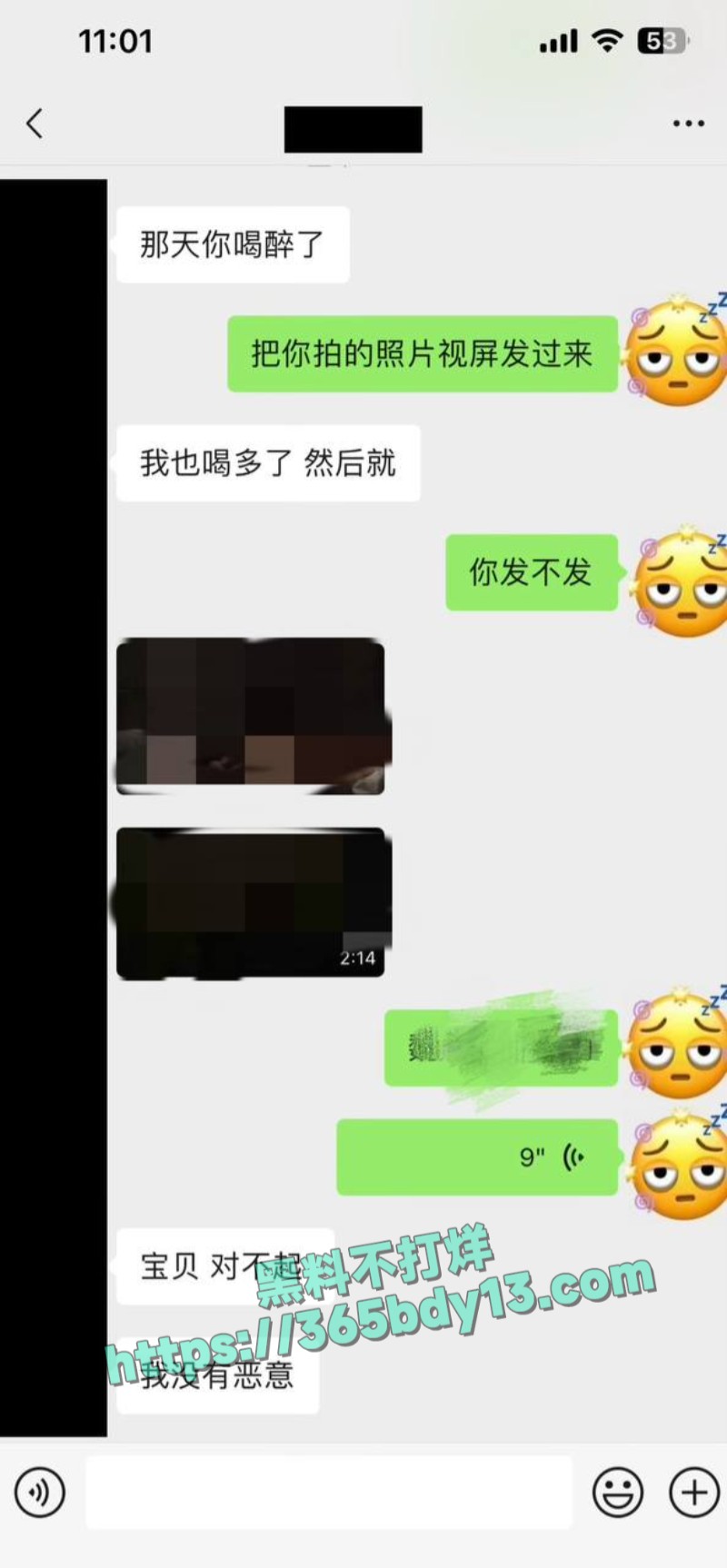 女网友与魏大勋聊天记录19