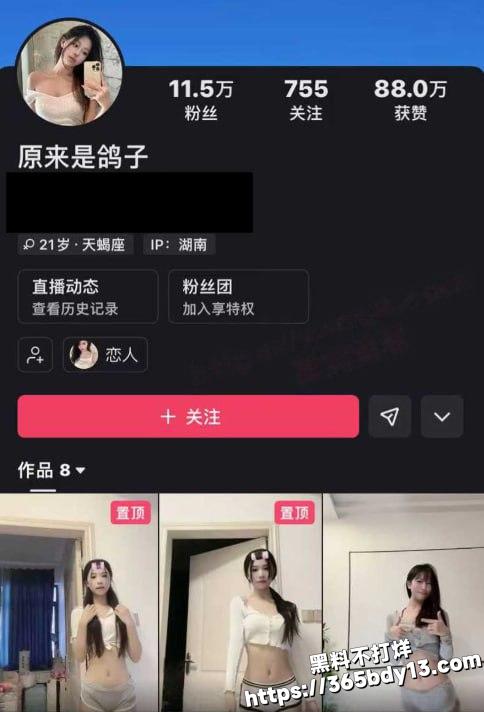 原来是鸽子2