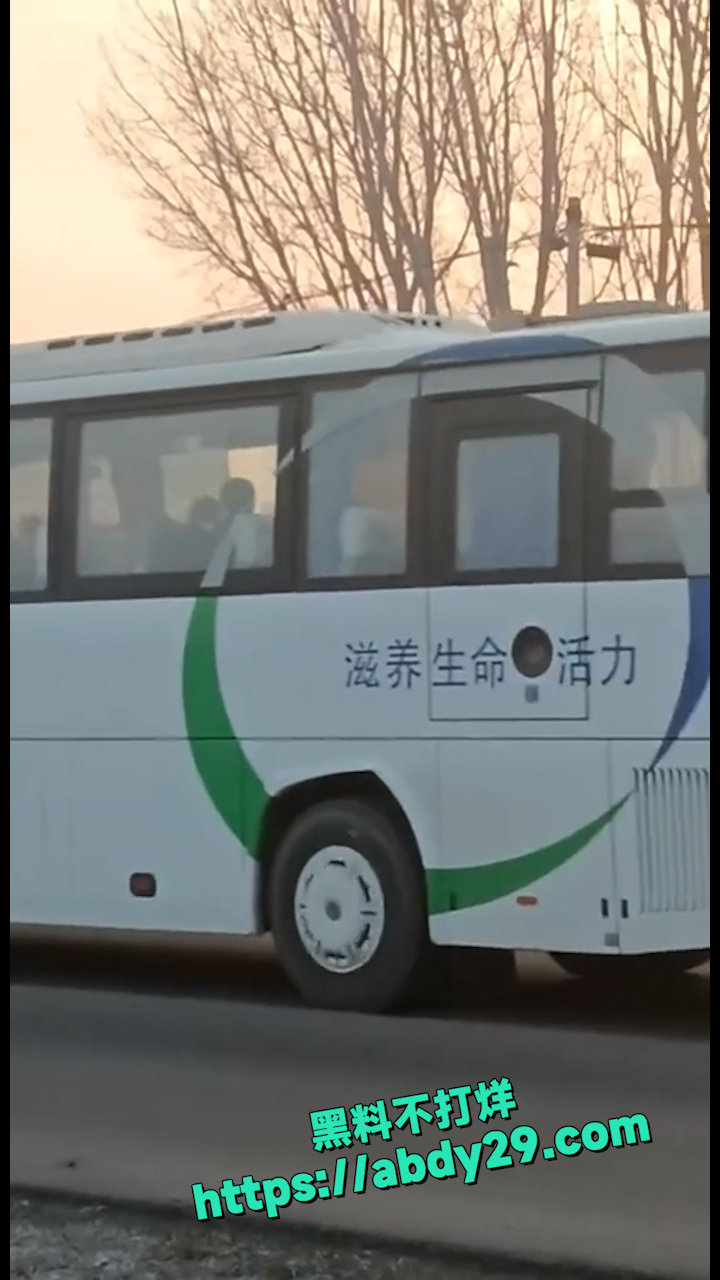 河南宝丰拉猪车高速起火 5