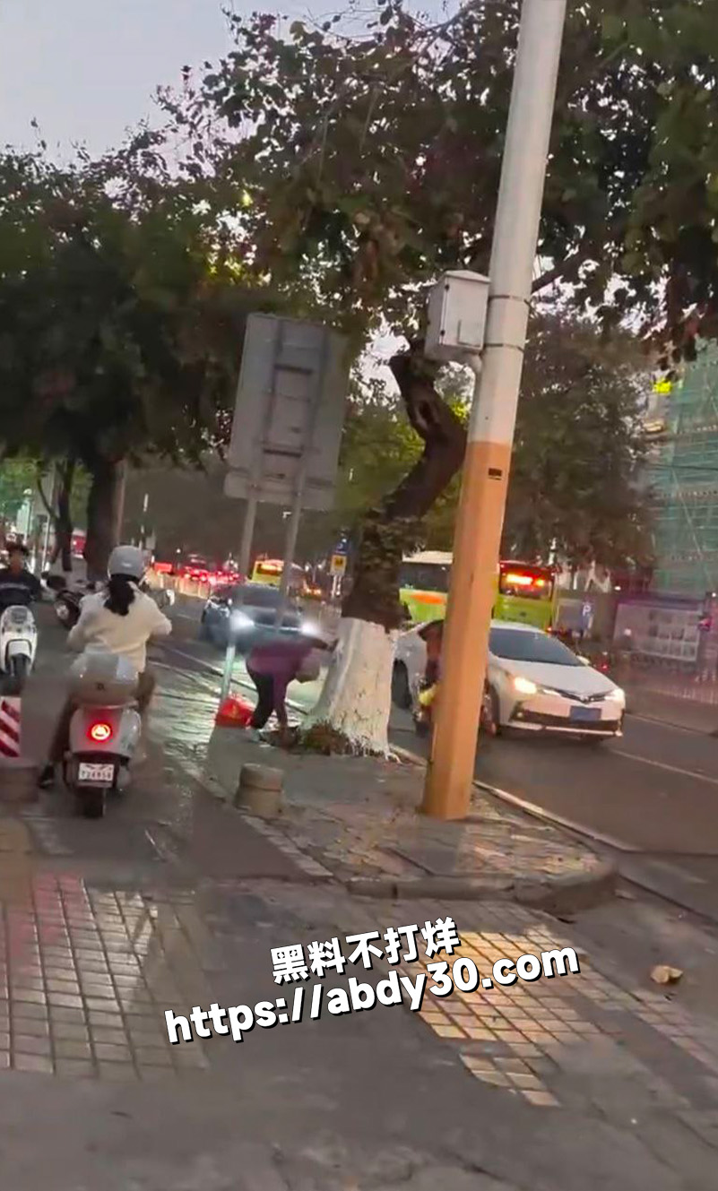 真是特么老不死的啊2