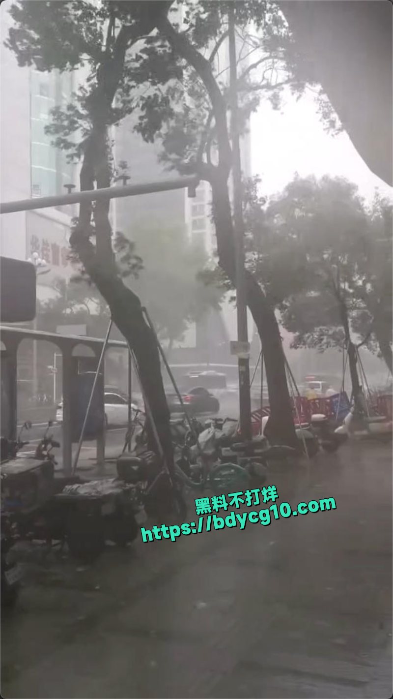 超级台风韦帕登录广东所到之处一片狼藉7