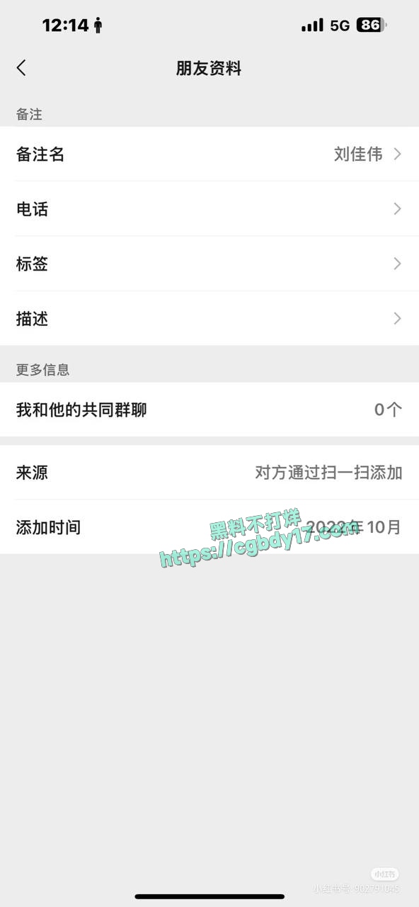 33万网红55-爆料4