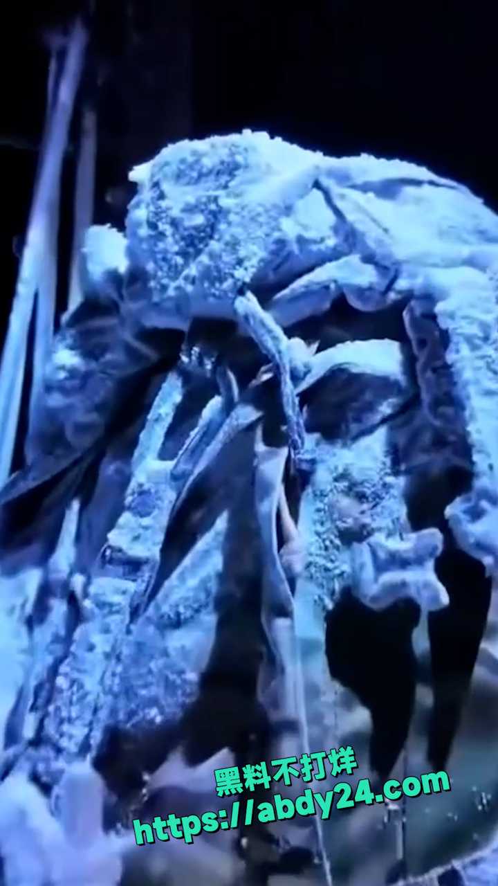 荒野求生现实版5人违规 19