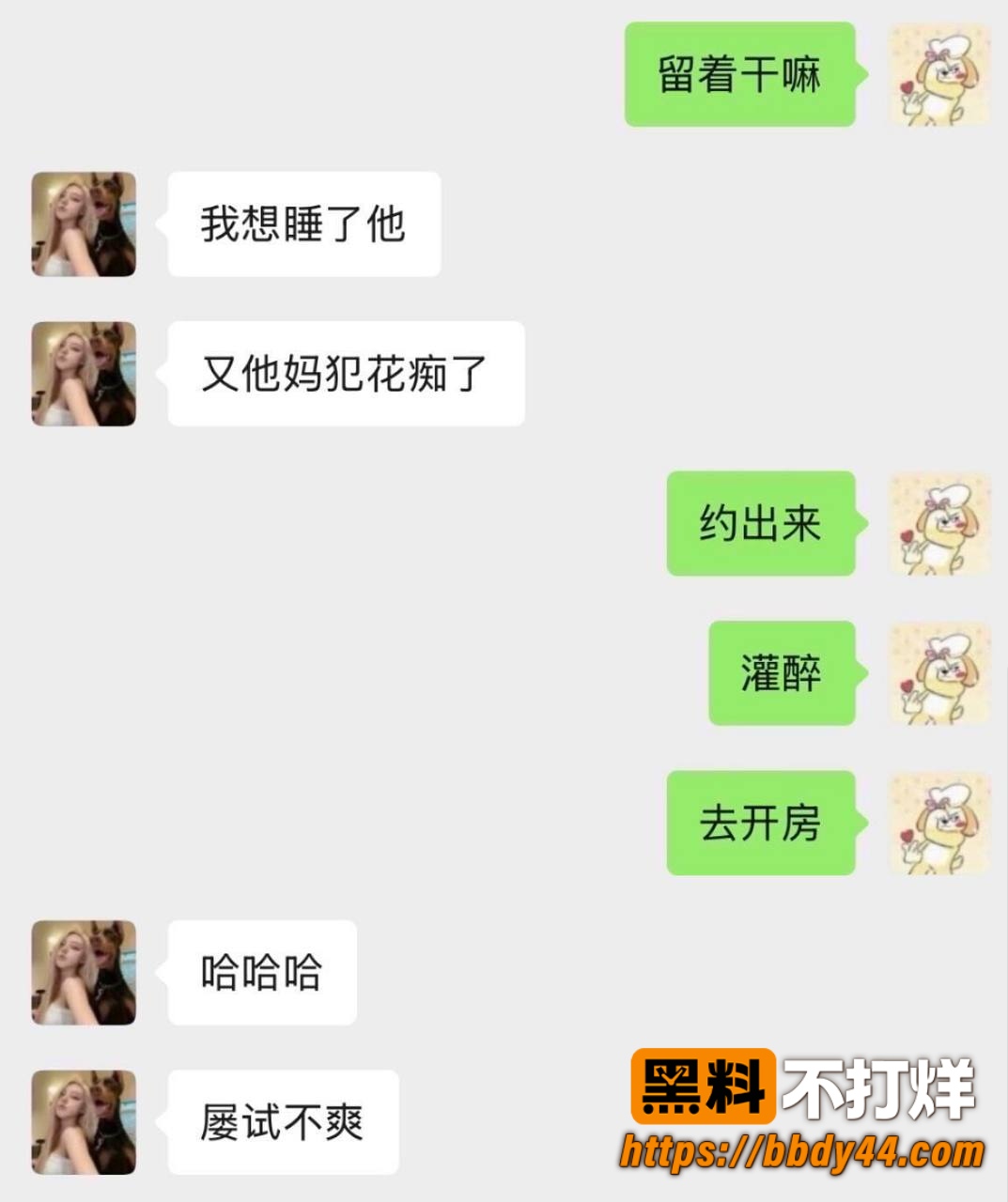 史哈尼13