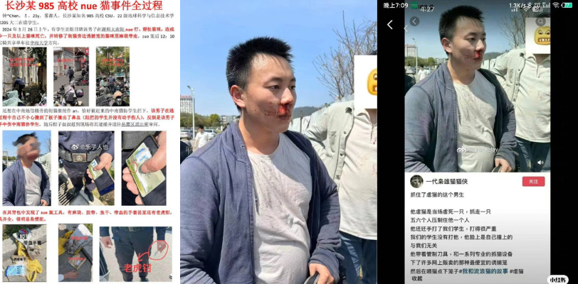 湖南师范大学 学生曝光一男子用老虎钳等工具虐猫 被众人当场抓获 大快人心啊