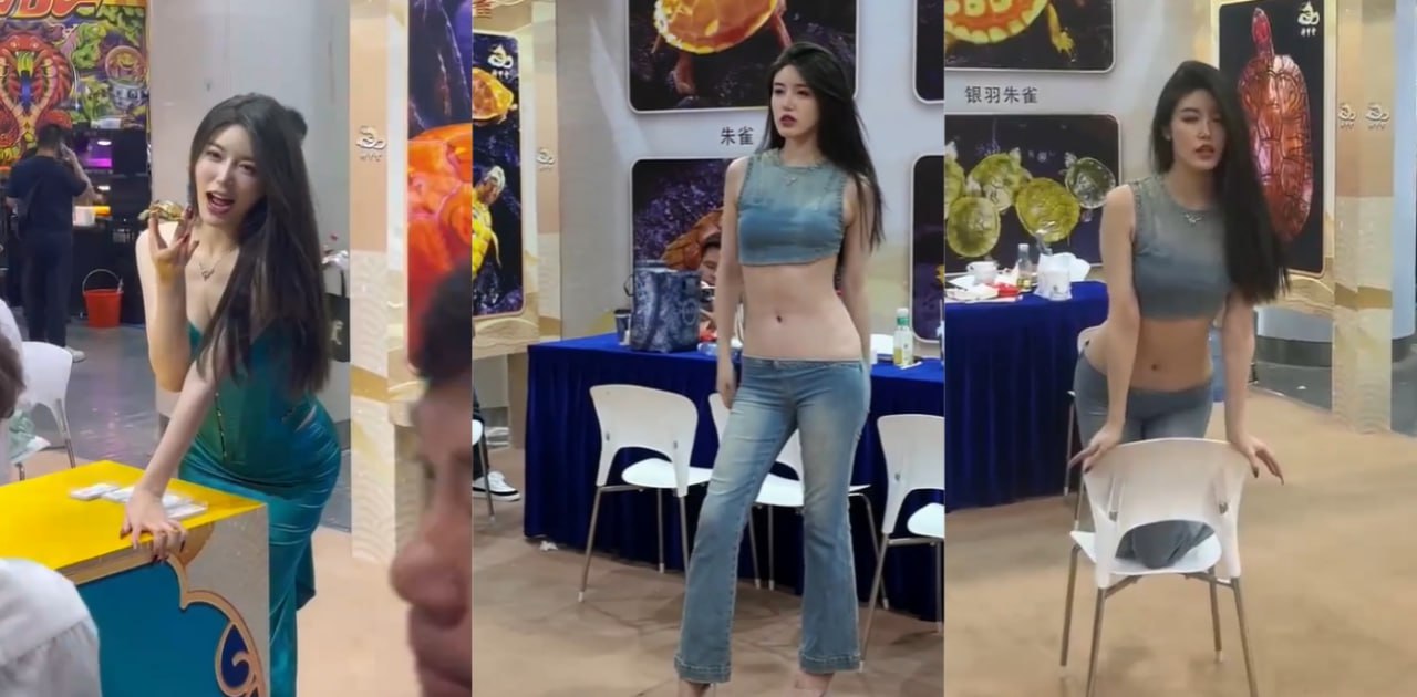 乌龟展也有女模特了？卖乌龟要这么骚么？上海龟展让狼友们眼前一亮