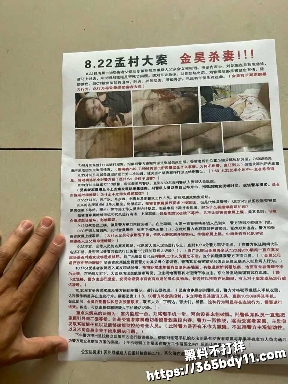 孟村金昊杀妻4