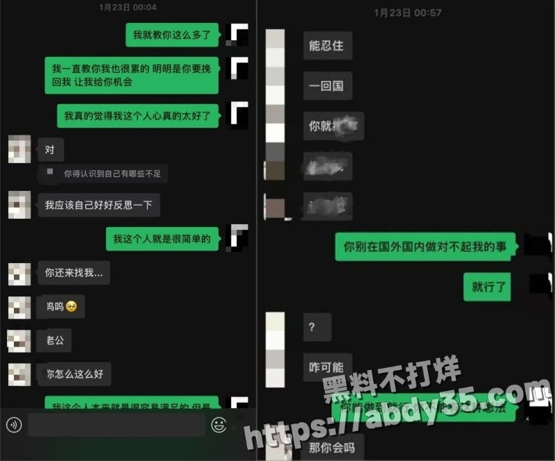 澳洲留学生陈某某脚踏两船捞金实录20