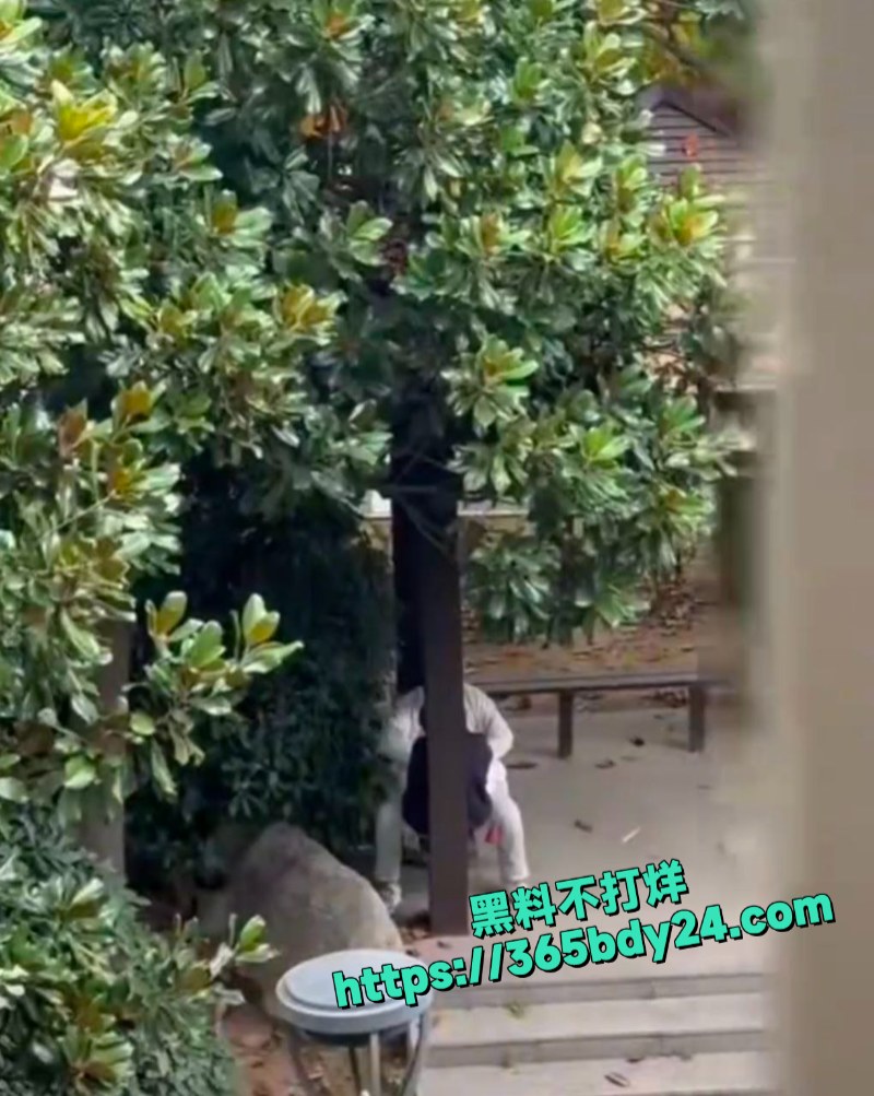 徐州技师学院偷拍情侣激战 3