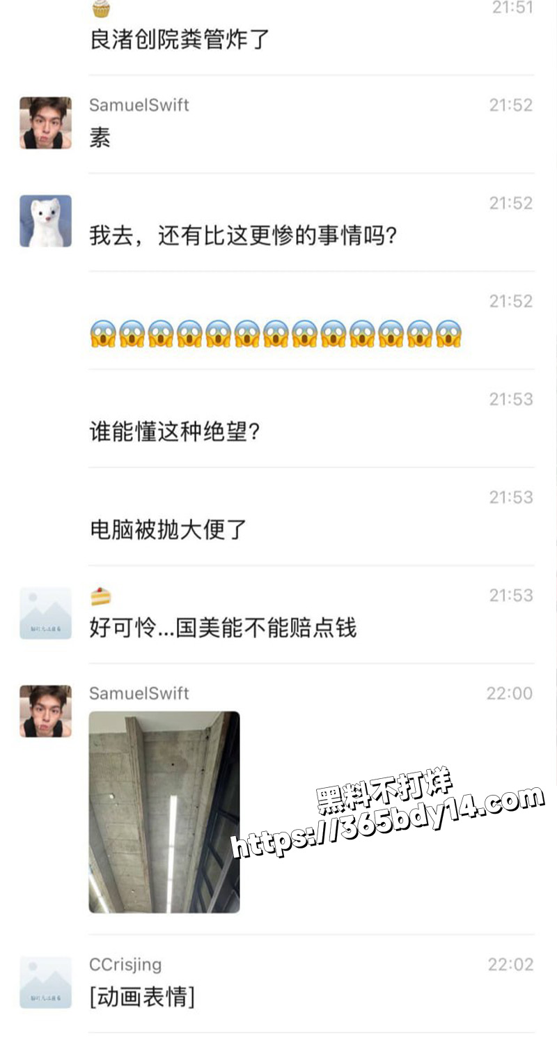 国美淋屎3