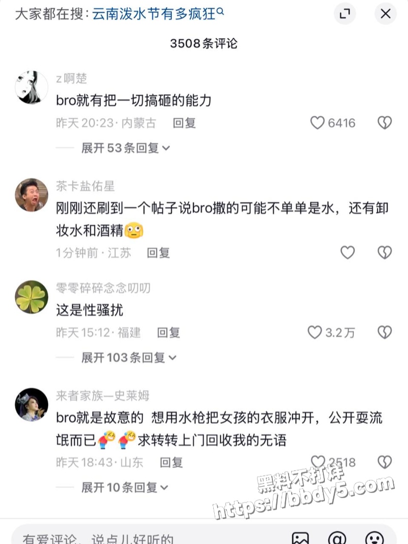 云南西双版纳景洪市的泼水节10